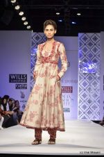 Model walk the ramp for Payal Pratap Show at Wills Lifestyle India Fashion Week 2012 day 1 on 6th Oct 2012 (17).JPG